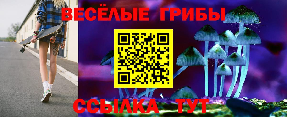 Губаха  Галлюциногенные грибы Magic Shrooms  Псилоцибиновые грибы MAGIC MUSHROOMS  Вход с VPN 